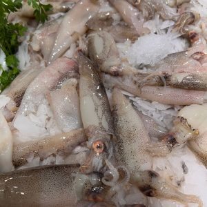 Chipirones frescos 10’80€/ kilo