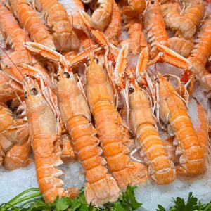 Cigalas hembras frescas y recién cocidas 36€/ kilo