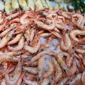 Gambas blancas recién cocidas 19’99€/ kilo