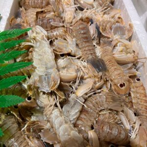 Galeras  llenas 10’80€/ kilo