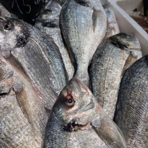 Doradas y lubinas de estero 14’80€/ kilo⁣